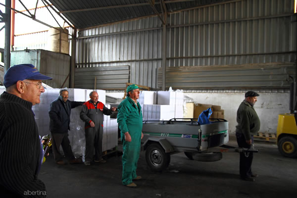 Cinco hombres en la almazara cargando aceite
